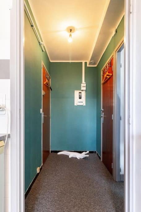 La Chambre Des Secrets / Parking / Wifi Тулуза Екстериор снимка
